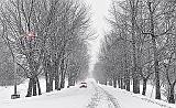 Snowy Gallipeau Centre Driveway_P1010308-10
